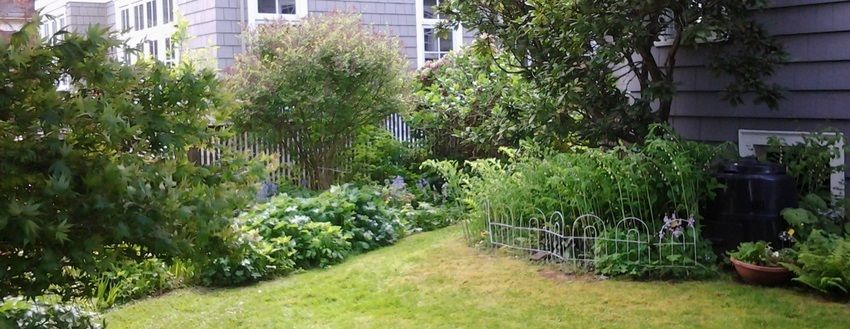 Organic and eco friendly gardening (testimonials)